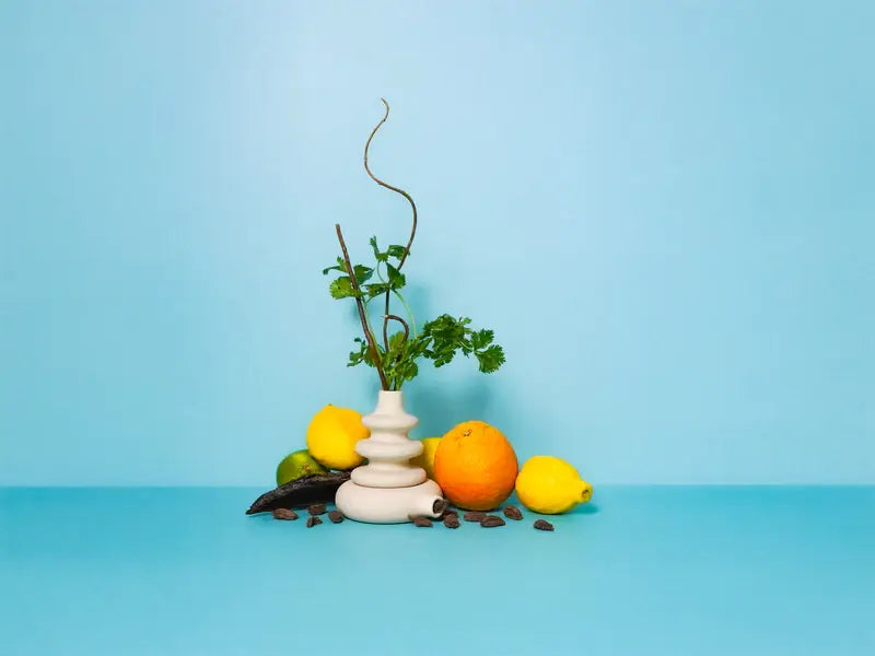 8 oz Matte Black Candles | Best Sellers: Under The Lemon Tree / Cotton Wick